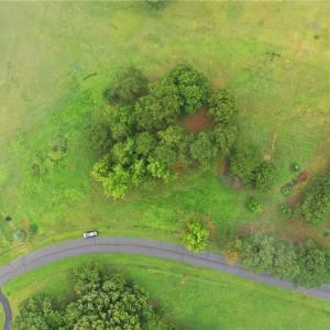 Aerial view of the vacant land-Oak Tree Drive, NC, NC 27212.