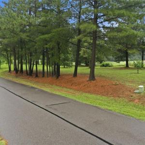 Oak Tree Drive Street at Caswell Pines.