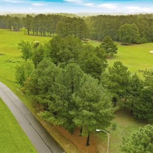 Aerial view of the vacant land-Oak Tree Drive, NC, NC 27212.