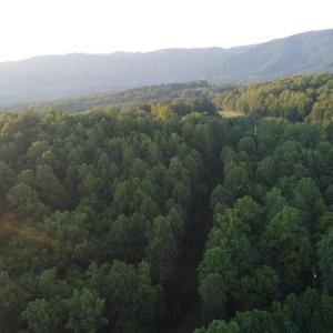Photo #6 of 4749 Wards Gap, Cana, VA 27.8 acres