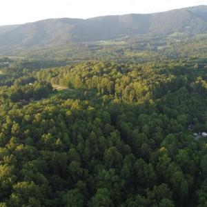 Photo #13 of 4749 Wards Gap, Cana, VA 27.8 acres