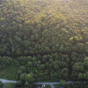 Photo #12 of 4749 Wards Gap, Cana, VA 27.8 acres