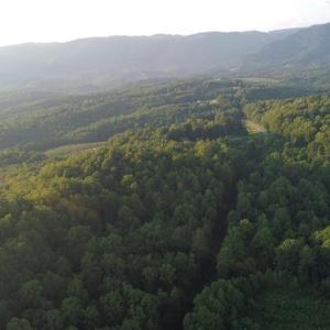 Photo #7 of 4749 Wards Gap, Cana, VA 27.8 acres