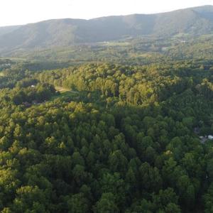 Photo #3 of 4749 Wards Gap, Cana, VA 27.8 acres
