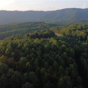 Photo #5 of 4749 Wards Gap, Cana, VA 27.8 acres