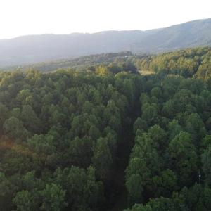Photo #11 of 4749 Wards Gap, Cana, VA 27.8 acres