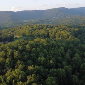 Photo #4 of 4749 Wards Gap, Cana, VA 27.8 acres