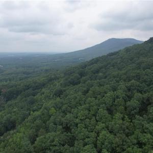 Photo #2 of Pine Tree, Pinnacle, NC 53.0 acres