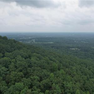 Photo #3 of Pine Tree, Pinnacle, NC 53.0 acres