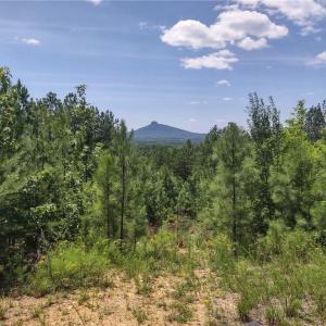 Photo #1 of Pine Tree, Pinnacle, NC 53.0 acres