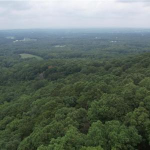 Photo #5 of Pine Tree, Pinnacle, NC 53.0 acres