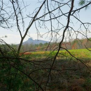Photo #2 of 4 Old Mill, Pinnacle, NC 4.4 acres