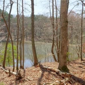 Photo #9 of 4 Old Mill, Pinnacle, NC 4.4 acres
