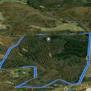 Photo #3 of Locust Grove, Westfield, NC 67.1 acres