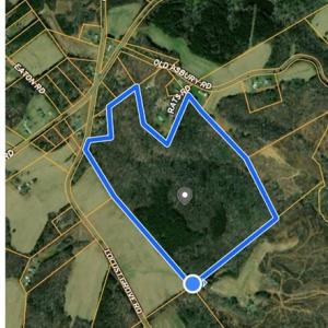 Photo #6 of Locust Grove, Westfield, NC 67.1 acres