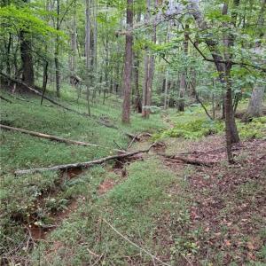 stream