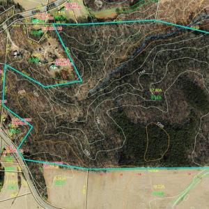 gis with 20 foot contours and stream