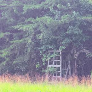 hunting stand