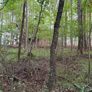 Photo #14 of Locust Grove, Westfield, NC 67.1 acres