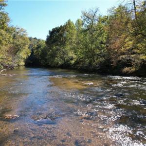 Photo #2 of Seven Island, Danbury, NC 66.5 acres