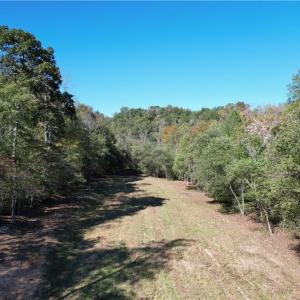 Photo #6 of Seven Island, Danbury, NC 66.5 acres