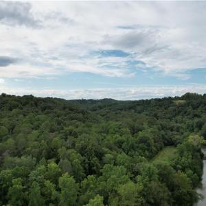 Photo #12 of Seven Island, Danbury, NC 66.5 acres