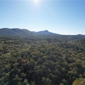 Photo #3 of Seven Island, Danbury, NC 66.5 acres