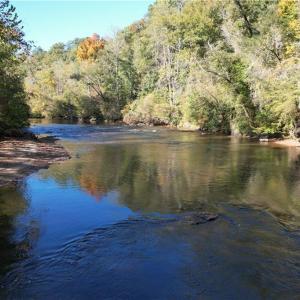 Photo #1 of Seven Island, Danbury, NC 66.5 acres