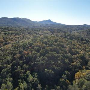 Photo #4 of Seven Island, Danbury, NC 66.5 acres