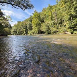Photo #8 of Seven Island, Danbury, NC 66.5 acres