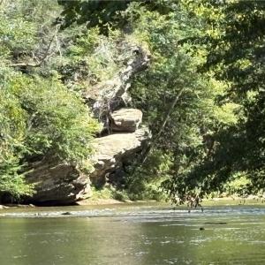 Photo #9 of 01 Seven Island, Danbury, NC 66.5 acres