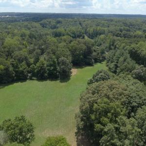 Photo #7 of 3518 Oneida, Greensboro, NC 10.9 acres