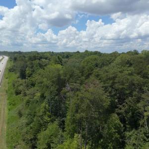 Photo #5 of 3518 Oneida, Greensboro, NC 10.9 acres
