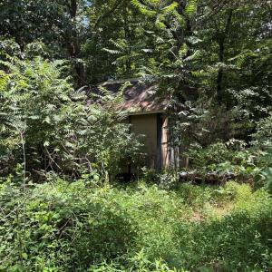 Photo #9 of 3518 Oneida, Greensboro, NC 10.9 acres