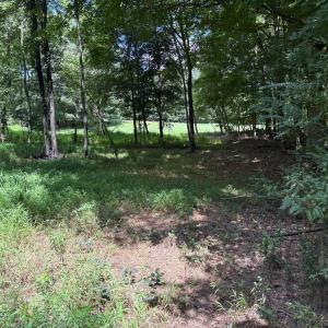 Photo #10 of 3518 Oneida, Greensboro, NC 10.9 acres