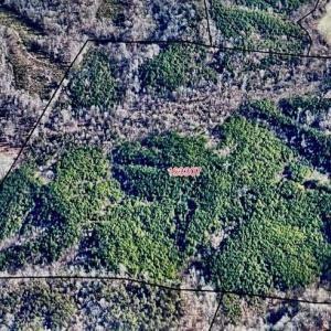 Photo #1 of Tate, Reidsville, NC 92.2 acres