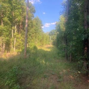 Photo #2 of Graham Davis, Denton, NC 17.1 acres