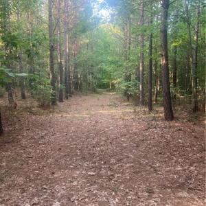 Photo #17 of Graham Davis, Denton, NC 17.1 acres