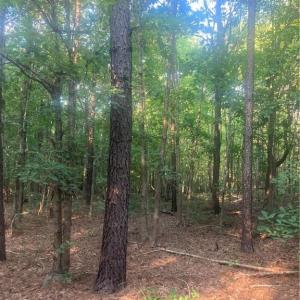 Photo #16 of Graham Davis, Denton, NC 17.1 acres