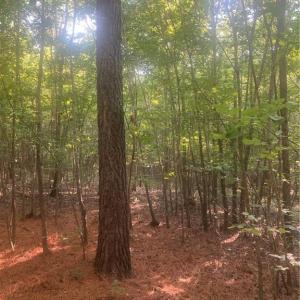 Photo #12 of Graham Davis, Denton, NC 17.1 acres
