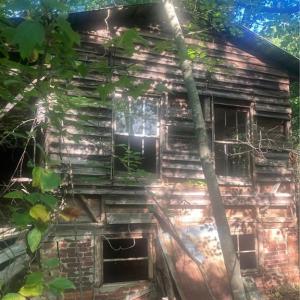 Photo #7 of Graham Davis, Denton, NC 17.1 acres