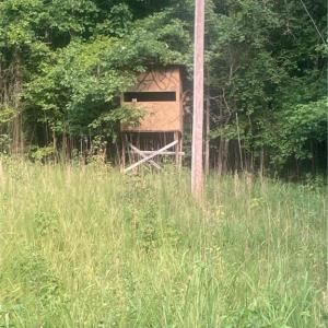 Photo #3 of Graham Davis, Denton, NC 17.1 acres