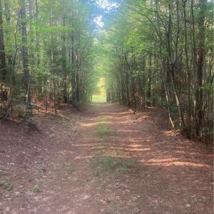 Photo #20 of Graham Davis, Denton, NC 17.1 acres