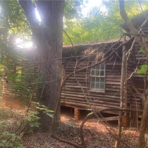 Photo #9 of Graham Davis, Denton, NC 17.1 acres
