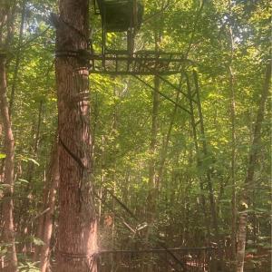 Photo #10 of Graham Davis, Denton, NC 17.1 acres