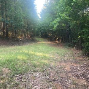 Photo #18 of Graham Davis, Denton, NC 17.1 acres