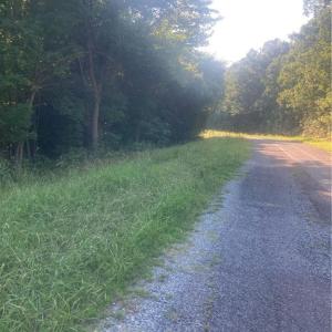 Photo #19 of Graham Davis, Denton, NC 17.1 acres