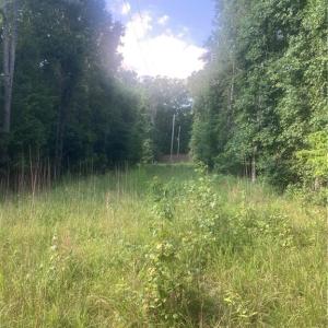 Photo #4 of Graham Davis, Denton, NC 17.1 acres