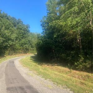 Photo #21 of Graham Davis, Denton, NC 17.1 acres