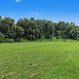 Photo #23 of 543 Bald Hill Loop, Madison, NC 31.4 acres